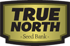 True North